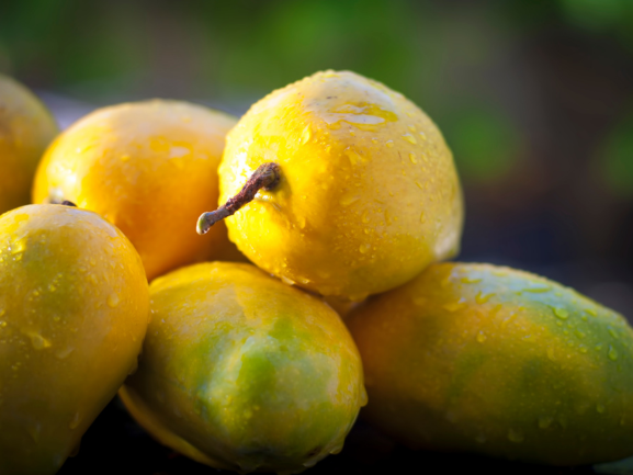 Kesar Mango Export Packing