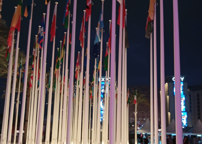 About Marathwada Global Exim